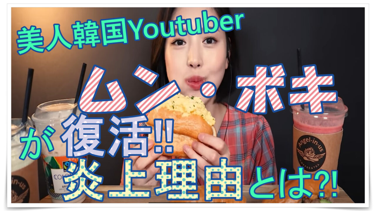 美人韓国youtuber ムン ボキが復帰 炎上理由とは Youtuber Room