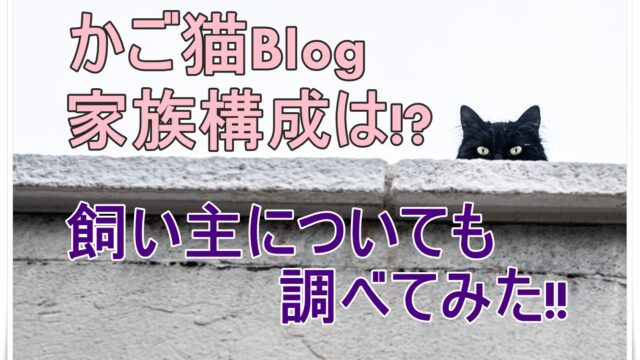 かご猫の家族構成は 岩手県在住の飼い主についても調べてみた Youtuber Room