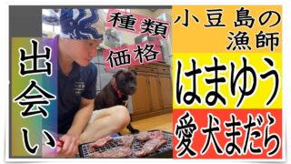 小豆島の漁師はまゆう愛犬まだらアイキャッチ画像